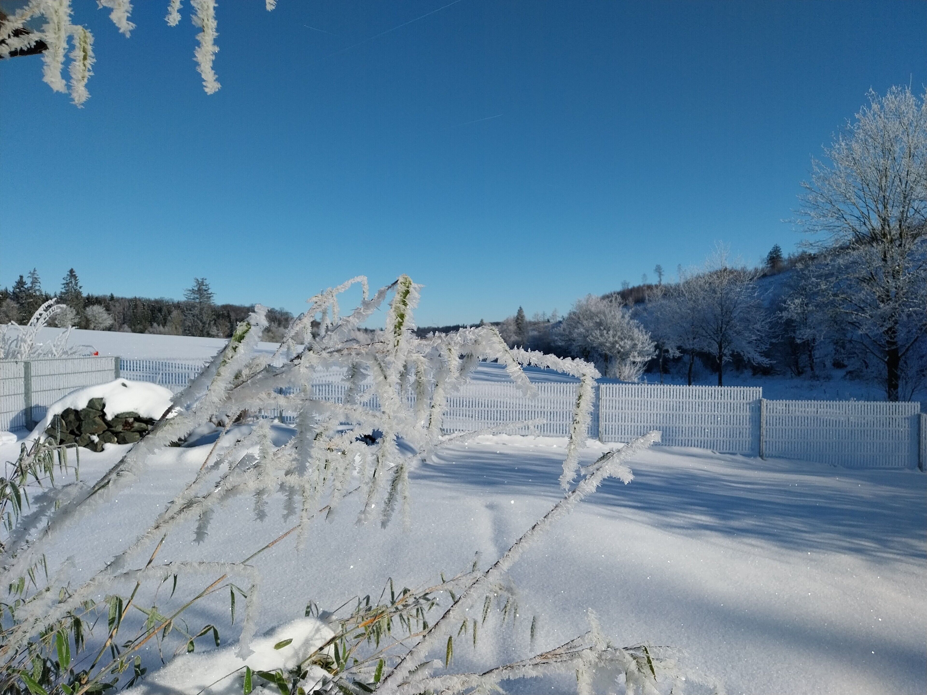 Eine verschneite Landschaft mit einem weißen Zaun, Bäumen und blauem Himmel.