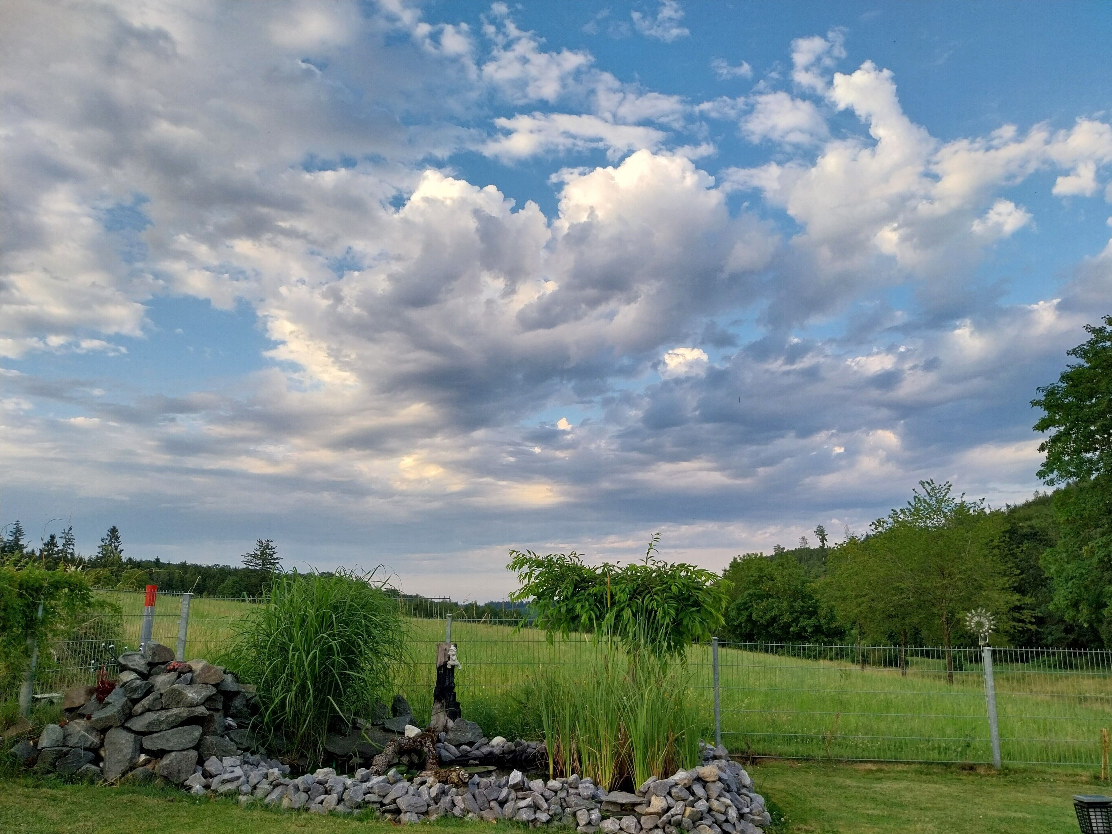 A rural landscape with a stone wall, a metal fence, and a field.