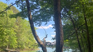 A serene lakeside setting with dense foliage and a dock extending into the water. - Tiny Retreat with boat dock , Lake Hartwell, GA (Martin)