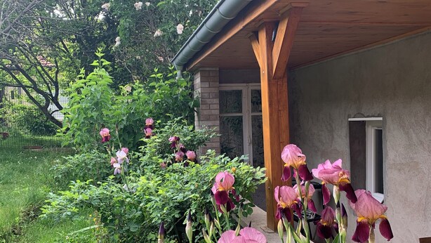 Un jardí amb flors en flor i un edifici amb un porxo de fusta.