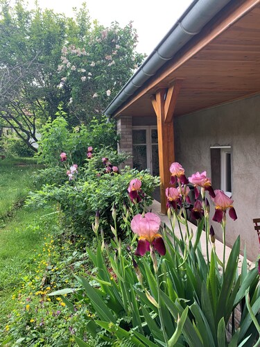 Charming house in the Maranges vineyards