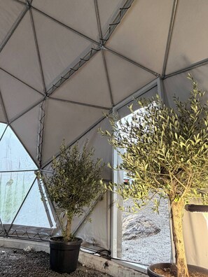 Casa, 5 habitaciones, fumadores, balcón | Interior