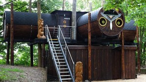 A wooden structure with a staircase, a large owl sculpture, and a metal railing. - Sleep in the Trees - Hot Tub, Sauna and Slide (Chorleywood)