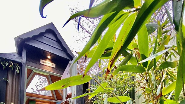 A wooden cabin with a glass door, a small pool, and a sign reading "SHEEP DIP". - Shepard hut - Hot Tub, Outdoor Shower, Bath (Chorleywood)