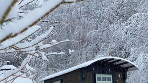 A wooden cabin with a sloped roof, a window, and a door. - Shepard hut - Hot Tub, Outdoor Shower, Bath (Chorleywood)