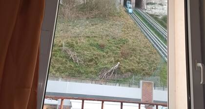 A beautiful escape from the cliffs