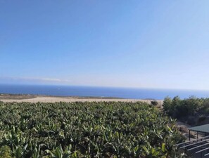 Uitzicht vanuit accommodatie