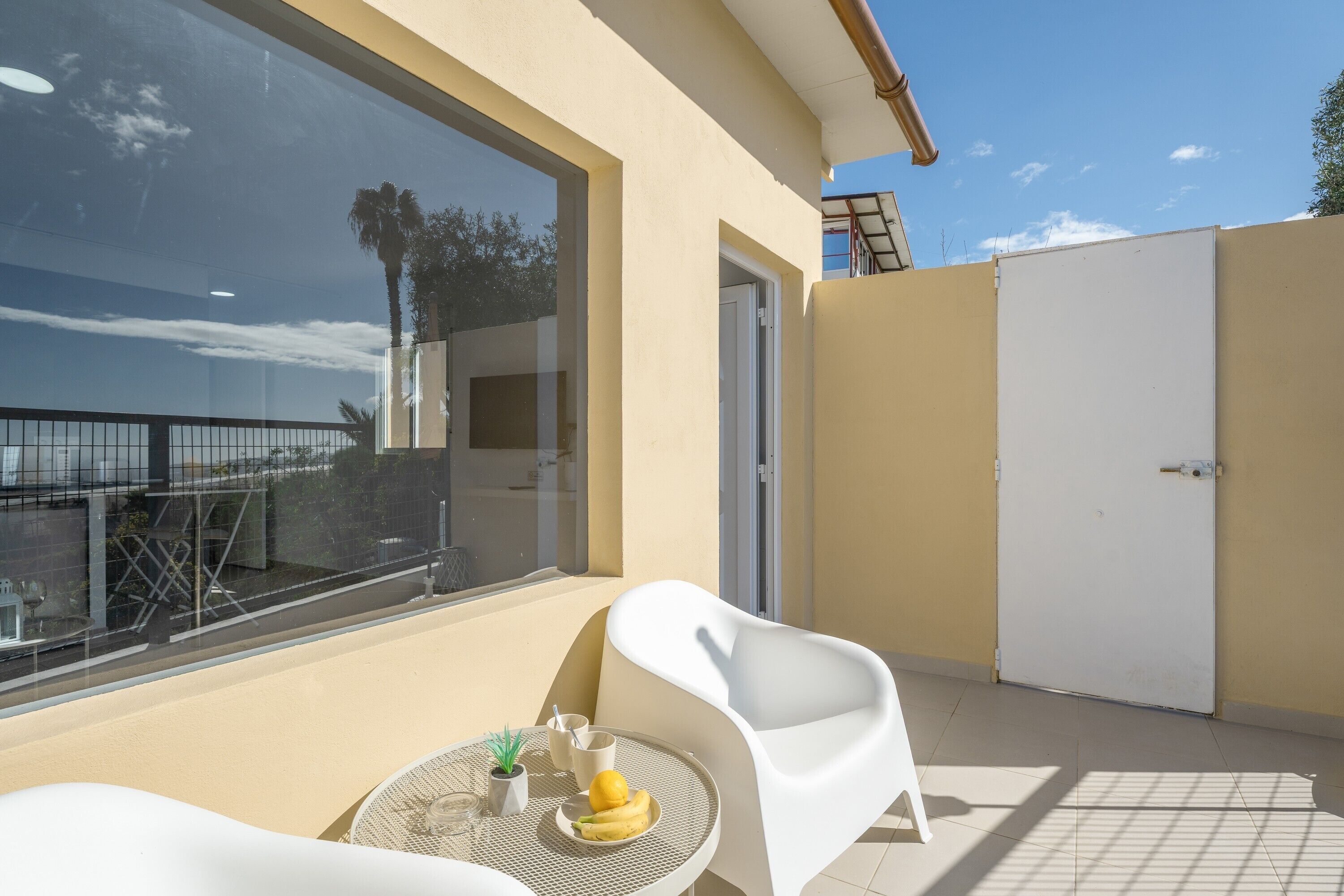 テラス / パティオ