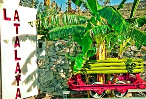 Miscellaneous - Vacation Apartment 'Beautiful Sea View and Pool Finca 6' with Sea View, Shared Pool and Wi-Fi (Adeje)
