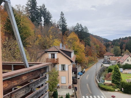 Property grounds. Cosy studio in Le Hohwald - Nature and relaxation guaranteed