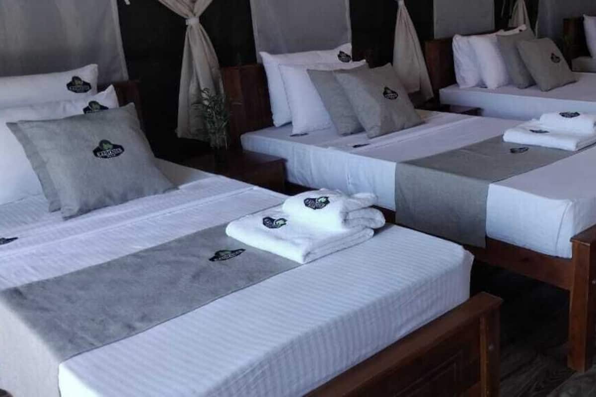 Standard Quadruple Room | Desk, laptop workspace, blackout drapes, iron/ironing board