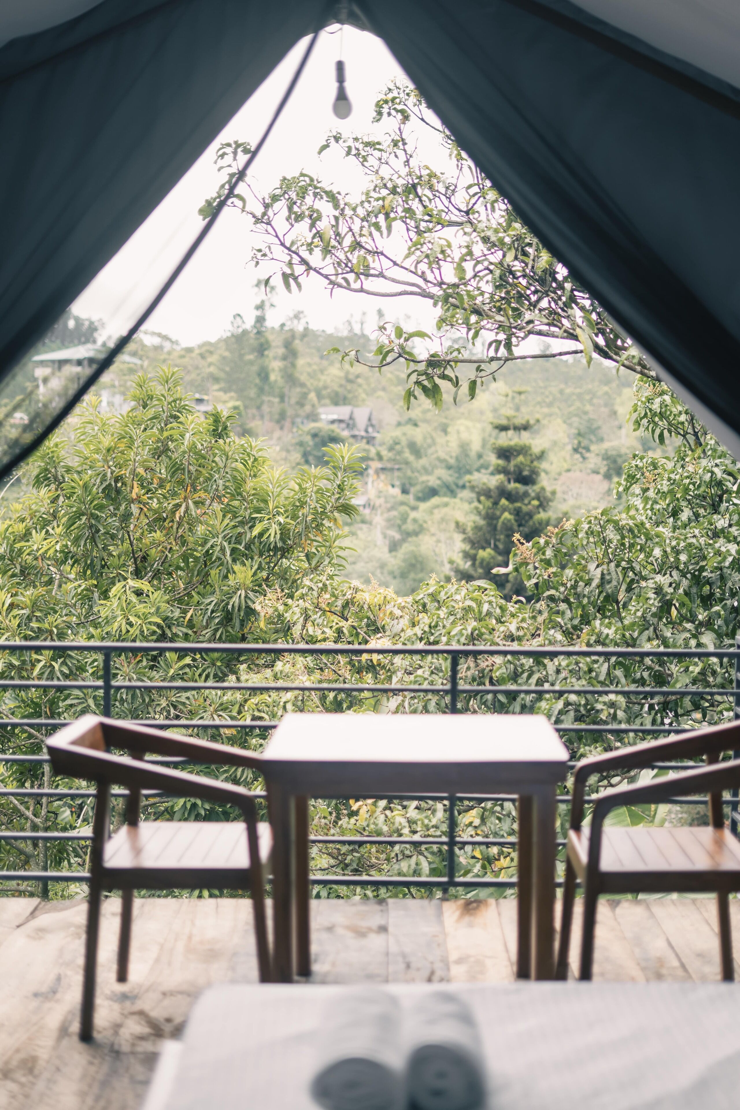 Vista desde la propiedad