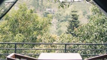 Vista desde la propiedad