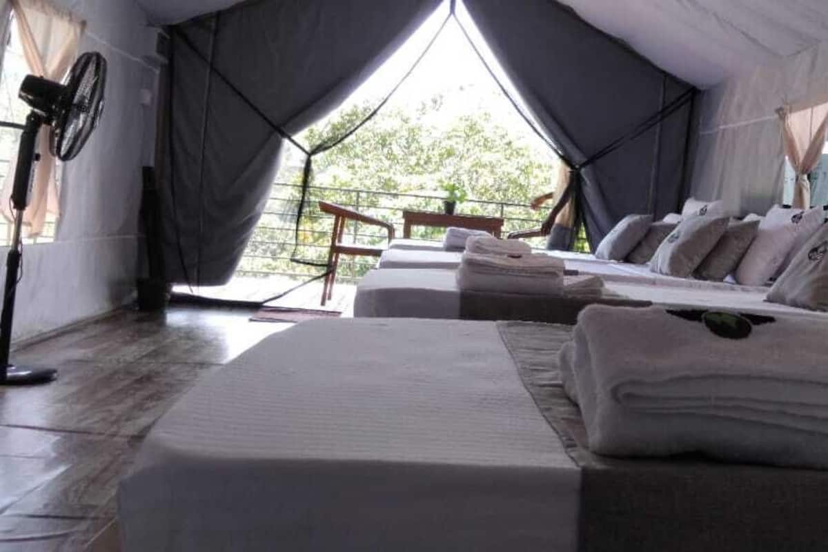 Tienda de campaña estándar, balcón, vista a la colina | Escritorio, espacio para trabajar con laptop y cortinas blackout