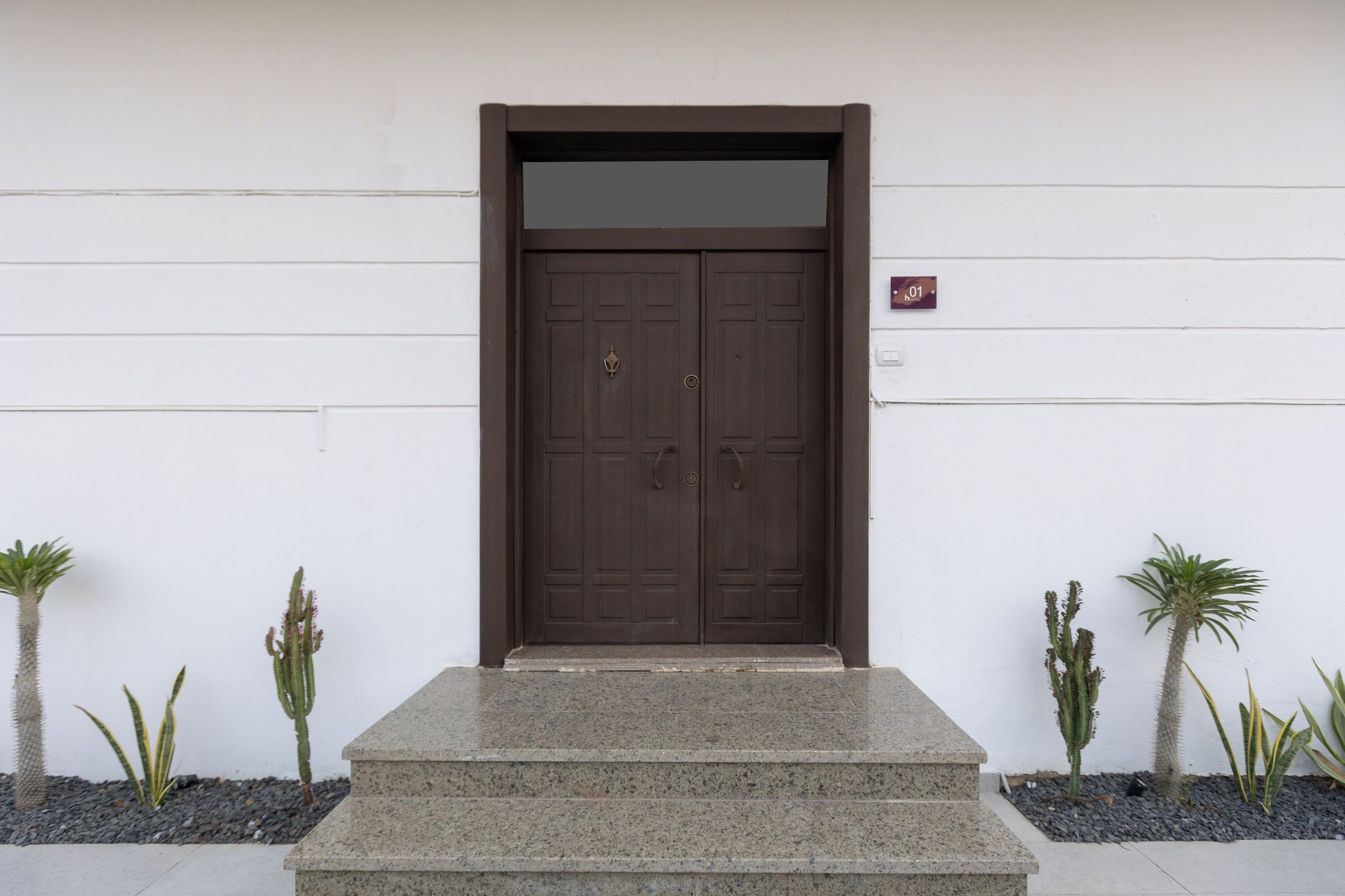A brown double door with a small window above it, flanked by two small plants and a stone staircase leading up to the door.