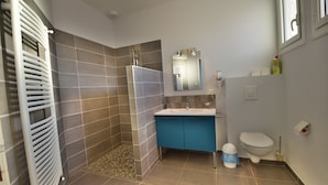 Une salle de bain avec une douche, un lavabo, des toilettes et un miroir.
