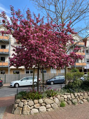 Property grounds - Apartment "2-room" with Wi-Fi (Cuxhaven)