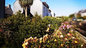 Un barrio residencial con una casa blanca, una palmera y diversas plantas con flores.