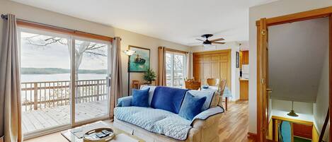 TV, DVD player, books, video library