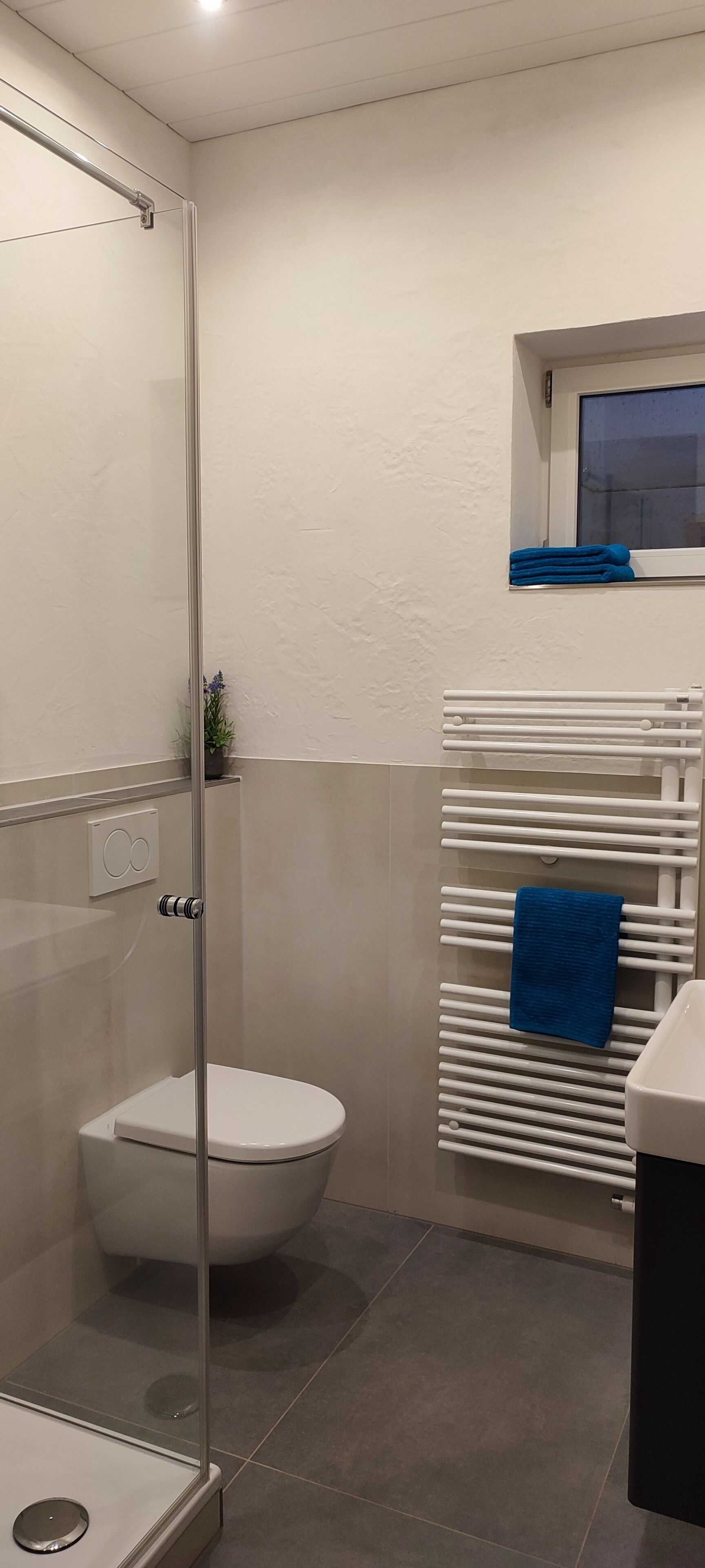 Een badkamer met een douchecabine van glas, een toilet, een witte handdoekradiator met een blauwe handdoek, en een klein raam.