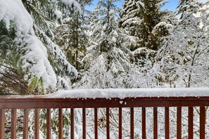 Property grounds - Updated Ski In/Out Family Friendly Condo Near Shops, Restaurants (Girdwood)