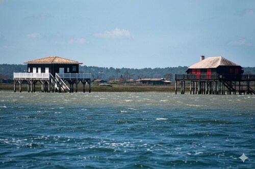 Gîte des 3 Moulins - A haven of tranquillity in the heart of the vineyards