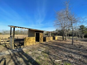 Property grounds - AIKEN HISTORIC FARMHOUSE w Stables, Turnout 20 min to TOWN. (Salley)