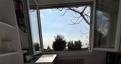 Incredible room with lake view and washing machine - Grape Place Bellevue