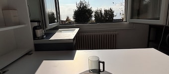 Incredible room with lake view and washing machine - Grape Place Bellevue