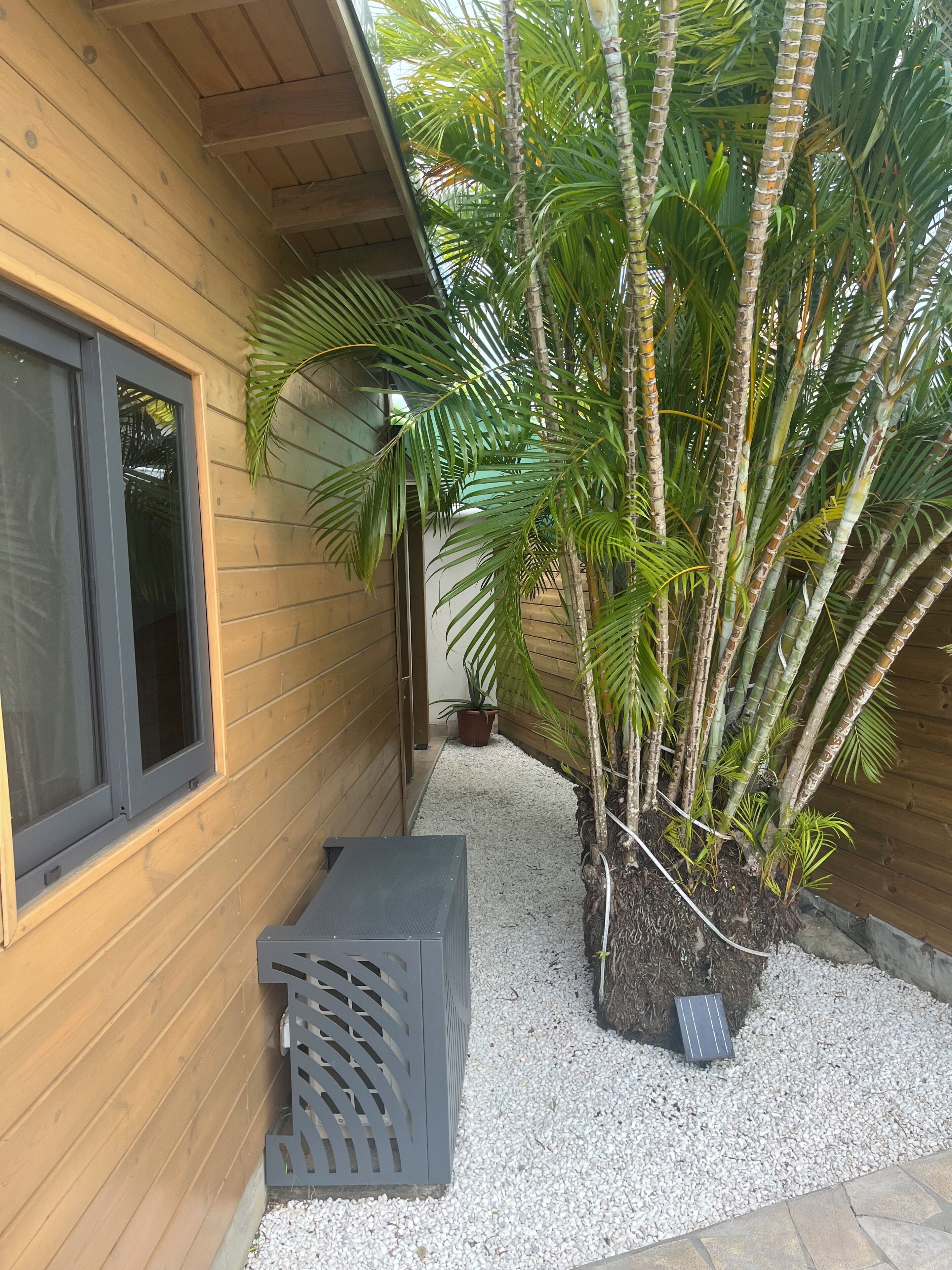 A wooden building with a window, a small planter with a plant, and a solar panel on the ground.