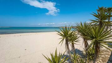 Una spiaggia nelle vicinanze