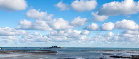 بالقرب من الشاطئ