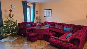 TV, fireplace, DVD player, books