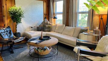 Smart TV, fireplace, books