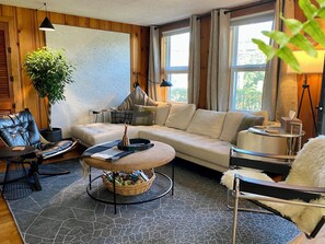 Smart TV, fireplace, books