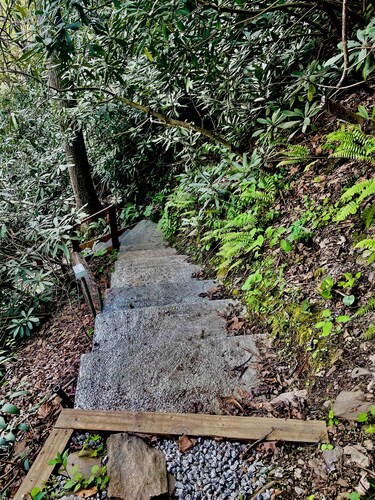 The Roost - A Pet Friendly, Creekside Mountain Cabin in the Heart of Adventure
