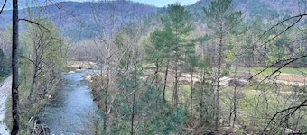 The Roost - A Pet Friendly, Creekside Mountain Cabin in the Heart of Adventure