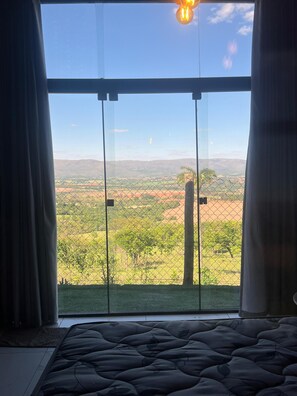 マウンテン ビュー