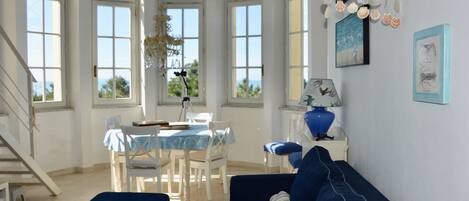 Televisión, reproductor de DVD y libros