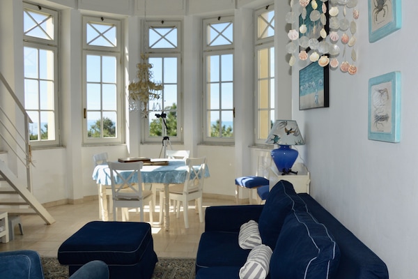 Televisión, reproductor de DVD y libros