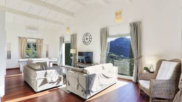 Televisión, chimenea, videojuegos, mesa de ping pong