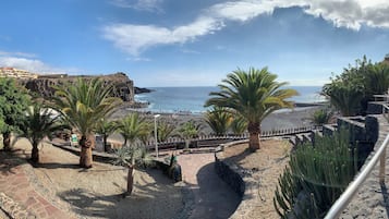 Vista costera con un paseo pavimentado, palmeras y una playa.