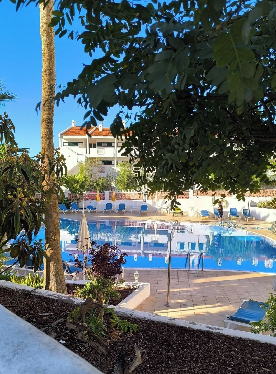 Zona de piscina con sillas de descanso y un edificio al fondo.