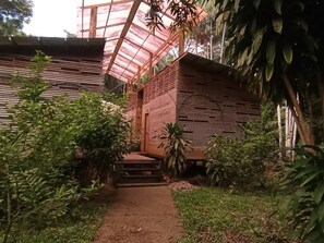 Exterior - Close to Leticia and in the middle of the jungle, Palmayacu, the best Natural Concert (Leticia)