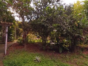 المنطقة المحيطة بالمنشأة