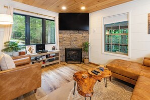 Smart-TV, Kamin