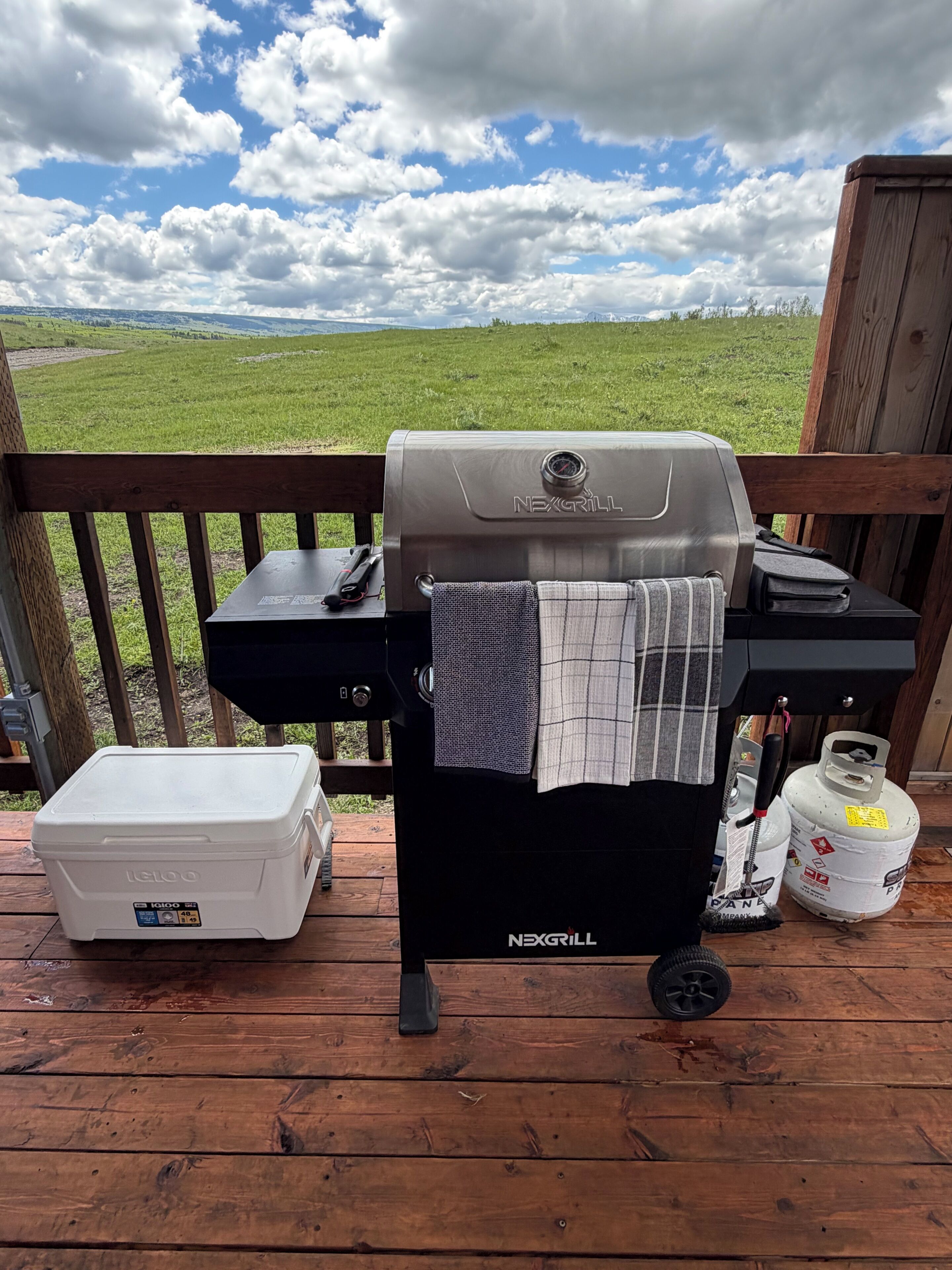 Una parrilla NEXGRILL sobre una terraza de madera con vistas a un campo cubierto de hierba.