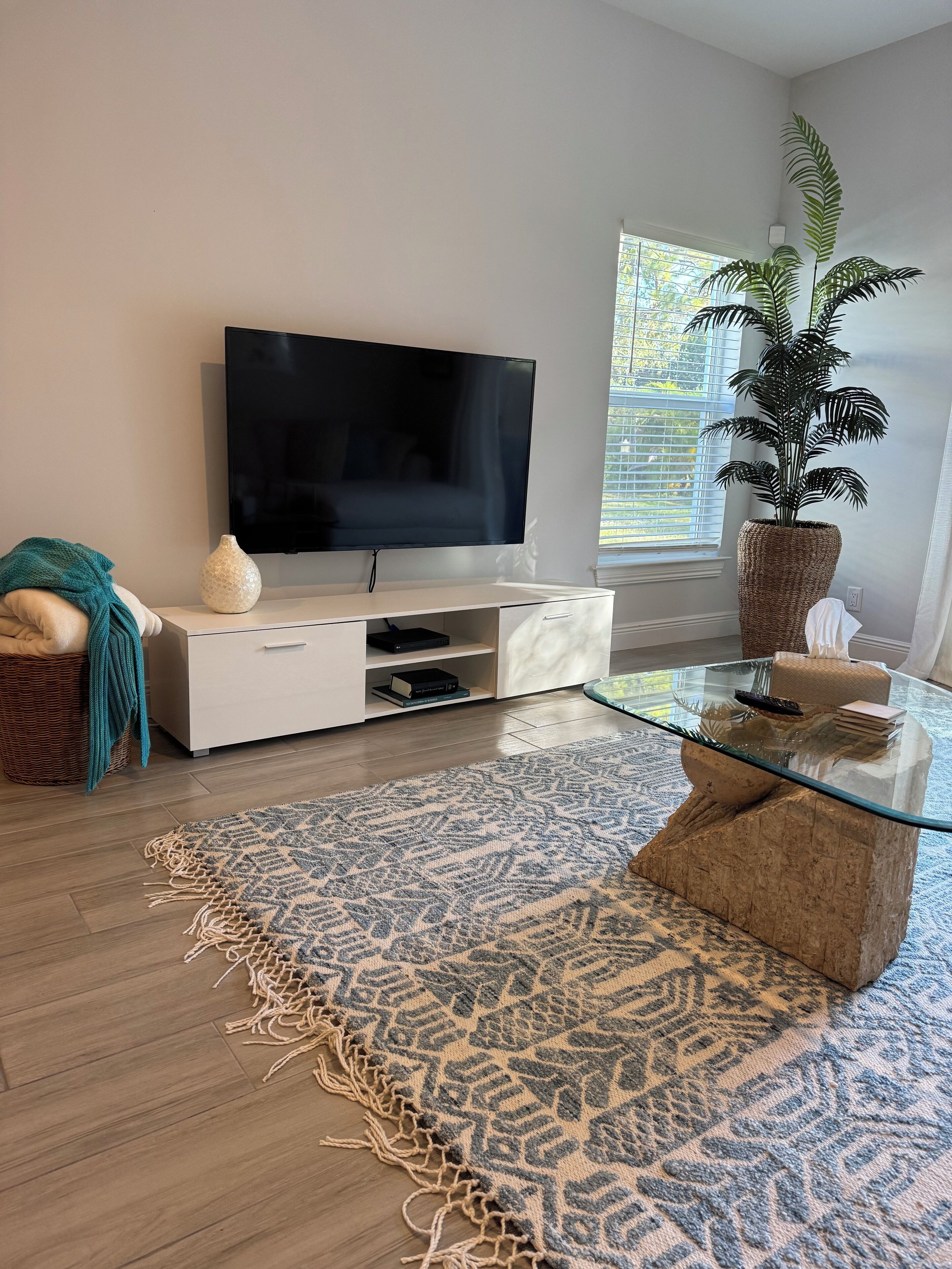A modern living room with a flat-screen TV, a glass coffee table, a woven pouf, a potted plant, and a patterned rug.