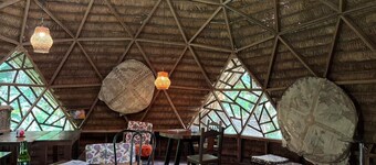 Near Leticia and in the middle of the jungle, a natural nocturnal concert