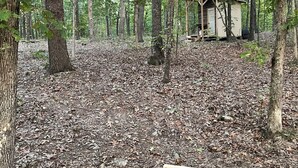 A rustic cabin in a forest with string lights. - Lake Of The Ozarks Tiny Aframe in the woods (Lincoln)